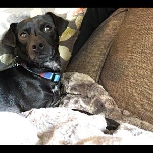 Meet your Posher, Lindsey